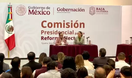 Comisi�n presidencial para la reforma electoral