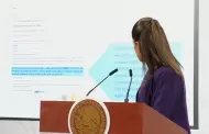 Presidenta rechaza que Sim�n Levy est� en Washington, asegura que fue detenido en Portugal