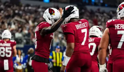 Cardinals