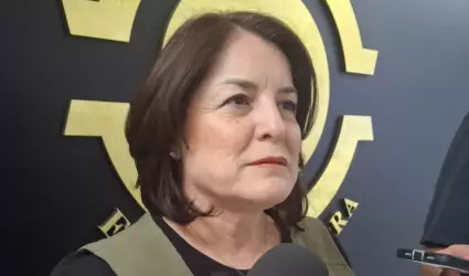 Gabriela F�lix, diputada de Movimiento Ciudadano