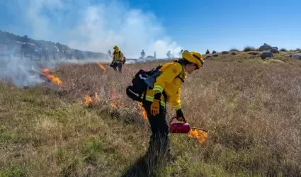 Incendios