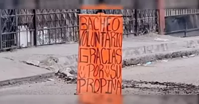 Baches