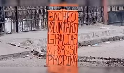 Baches