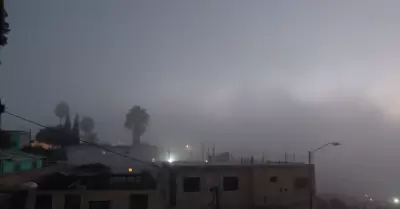 Niebla