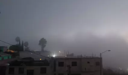 Niebla