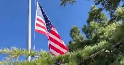 Veteranos