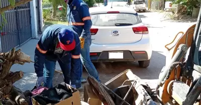 Basura