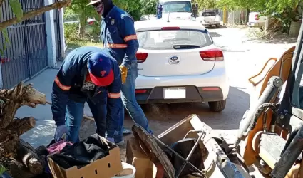 Basura
