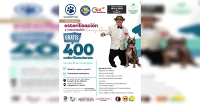 Jornada