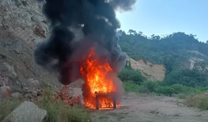 Incinera m�s de una tonelada y media de clorhidrato de coca�na