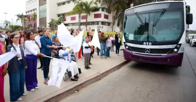Transporte Violeta
