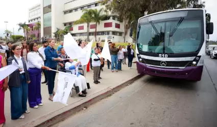 Transporte Violeta