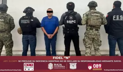 Los Mayos