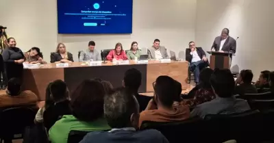 Foro sobre Derechos Pol�ticos de las Personas con Discapacidad