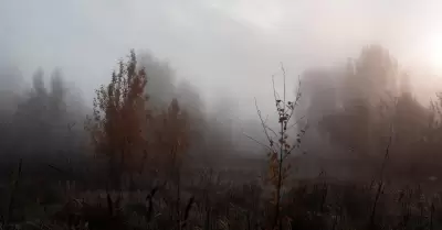 Noviembre