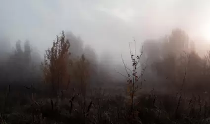 Noviembre