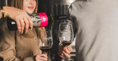 Vino