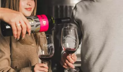 Vino