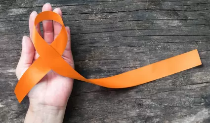 D�a Naranja