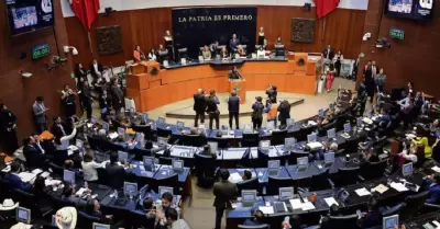 Senado