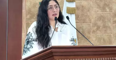 Diputada Michel S�nchez Allende