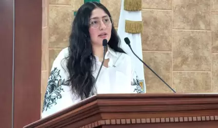 Diputada Michel S�nchez Allende