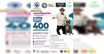 Jornada