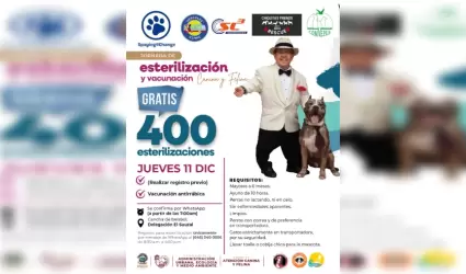 Jornada