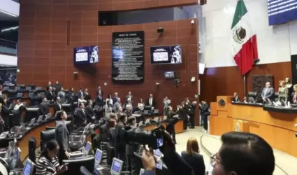 Senado