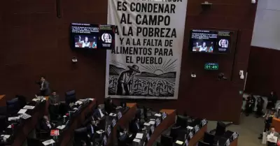 Senado de la Rep�blica
