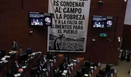 Senado de la Rep�blica