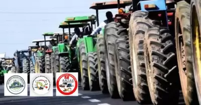 Movilizaci�n de productores agr�colas