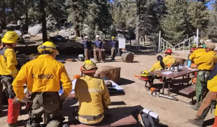 Bomberos