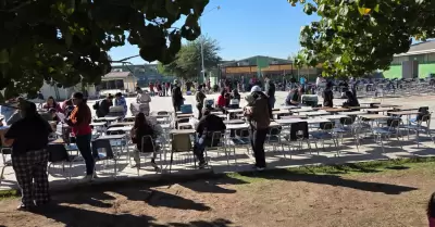 Jornada de esterilizaci�n canina y felina