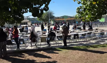 Jornada de esterilizaci�n canina y felina