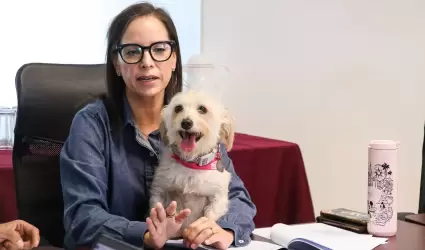 M�nica Vega Aguirre