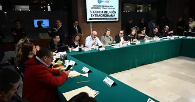 Comisi�n de Econom�a, Comercio y Competitividad