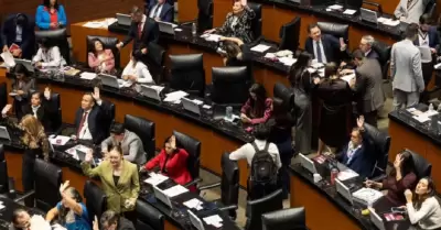 Senado
