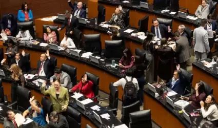 Senado