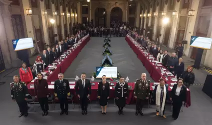 Consejo Nacional de Seguridad P�blica.