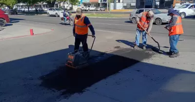 Bacheo