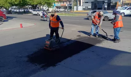 Bacheo