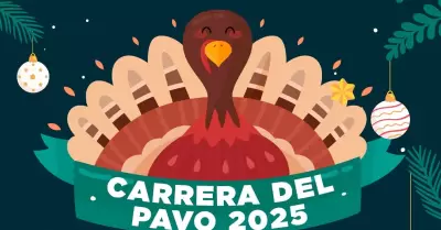 V�activa