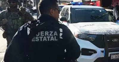 Fuerza Estatal