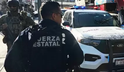 Fuerza Estatal