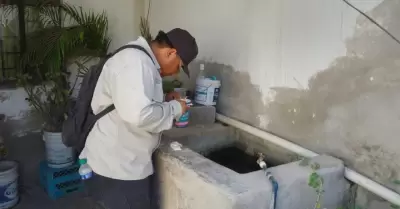 Dengue