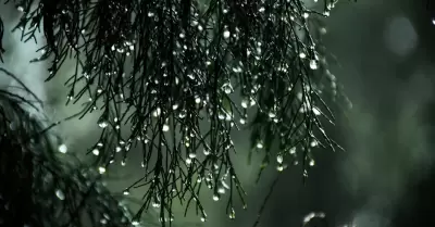 Lluvia