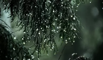 Lluvia
