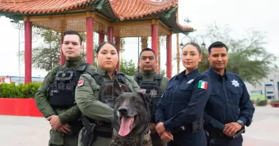Elementos policiales