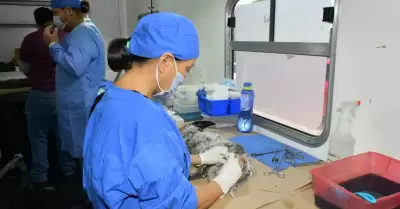 Esterilizaciones